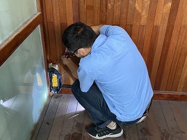 洛浦白蚁预防——怎么知道家中有无白蚁